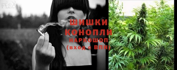 шишки Михайловка