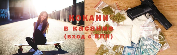 шишки Михайловка