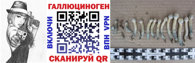 OMG онион  Петушки  Галлюциногенные грибы мицелий 